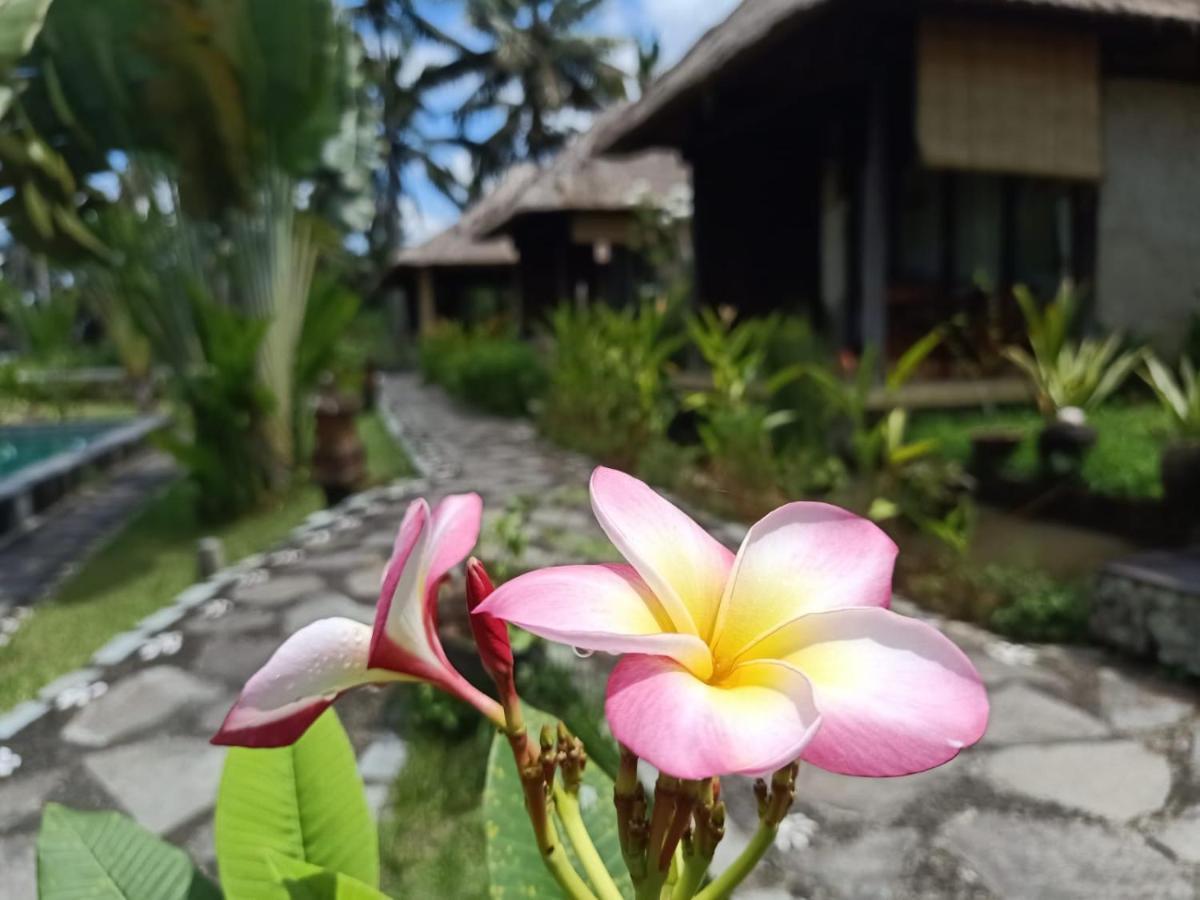 Taman Bintang Villa Ubud Exterior photo